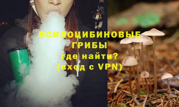эйфоретик Протвино